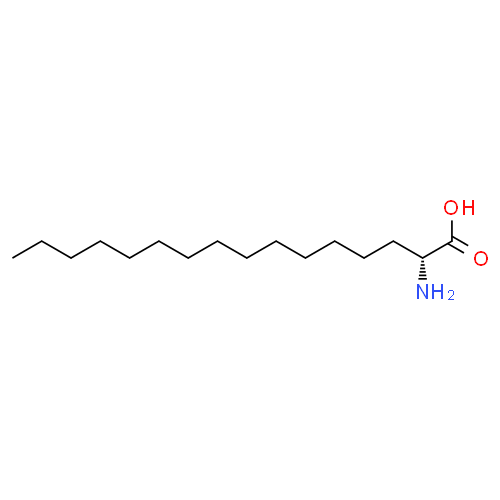 (R)-2-氨基辛酸