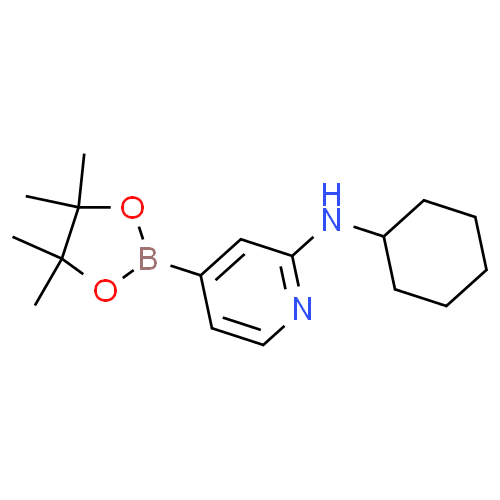 2-(环己基)-氨基-4-硼酸