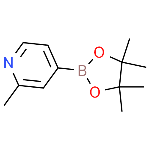 2-甲基吡啶-4-硼酸频哪酯,95%